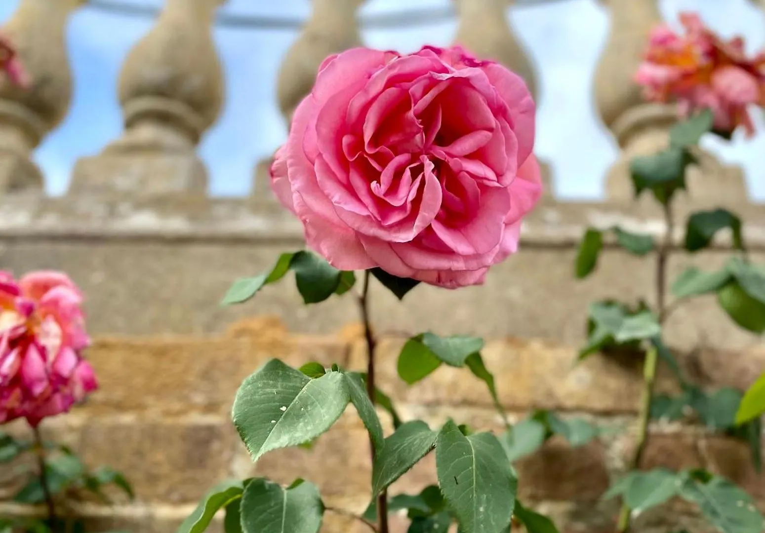 Borgo Villa Certano - Case Vacanza In Toscana Italy