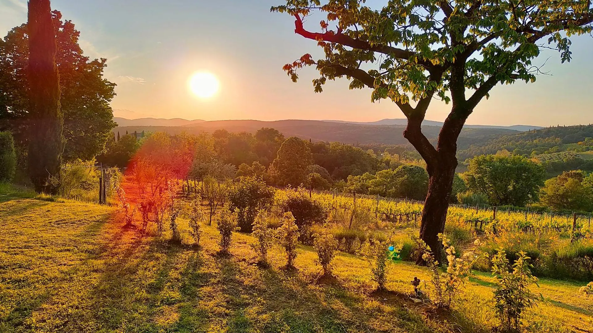 Borgo Villa Certano - Case Vacanza In Toscana 0*, Siena Italy