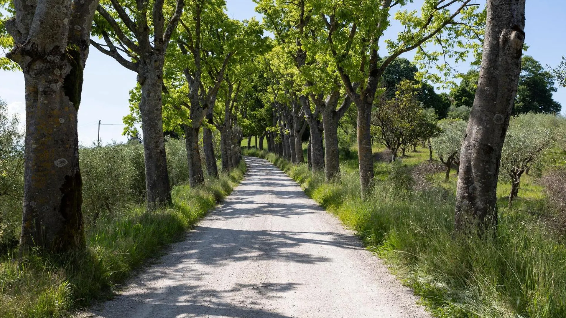 Borgo Villa Certano - Case Vacanza In Toscana Σιένα