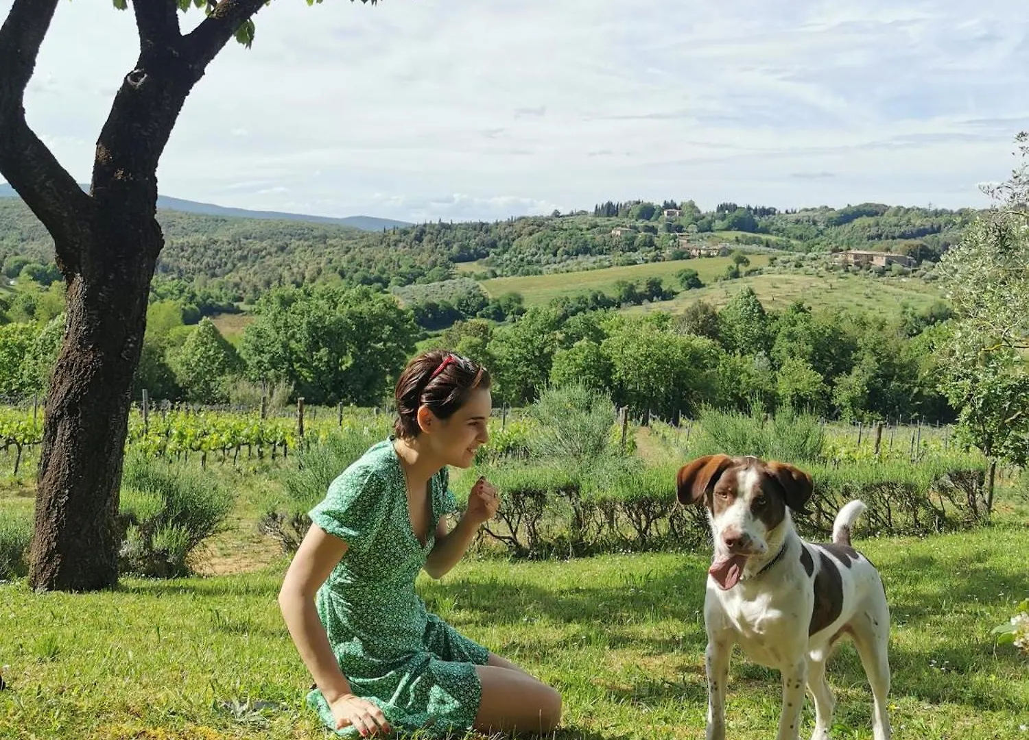 Borgo Villa Certano - Case Vacanza In Toscana Farm stay Siena